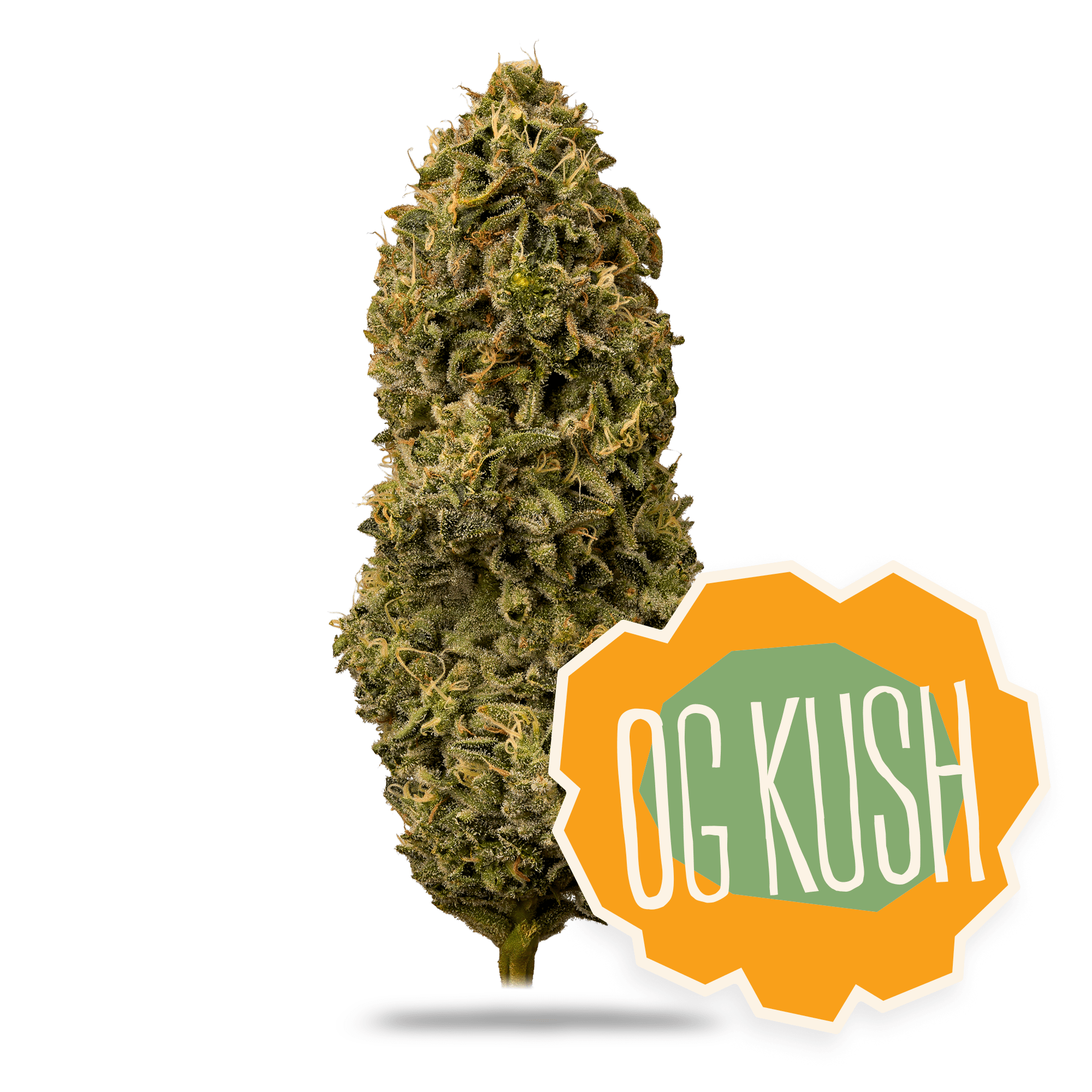 District Cannabis Concentrates