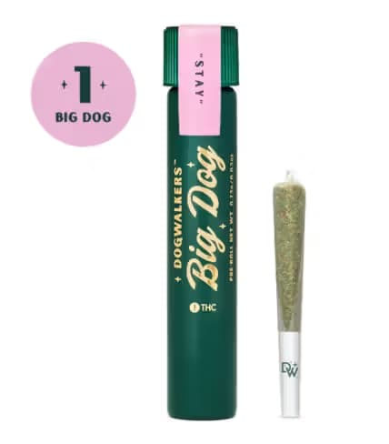 DOGWALKERS Black Maple 22
