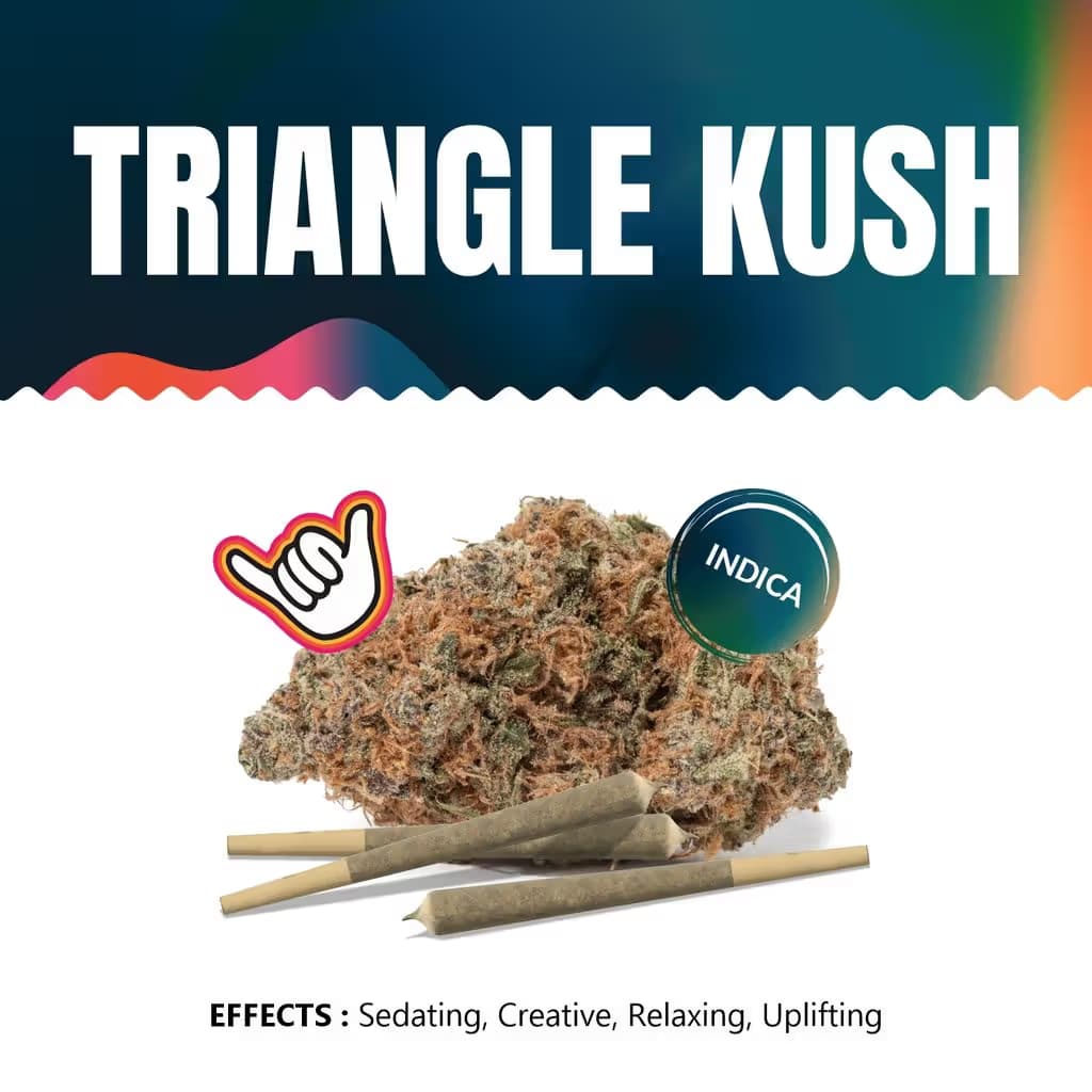 Shaka Triangle Kush