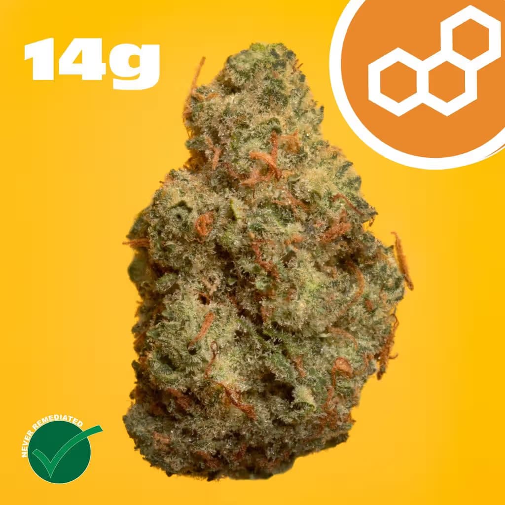 Theraplant Grand Pappy's Chillemon 14g 41905