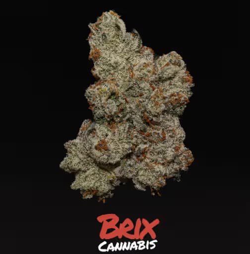Brix Cannabis Brix Cannabis Afgooey 1g Pre Roll (I) 00503