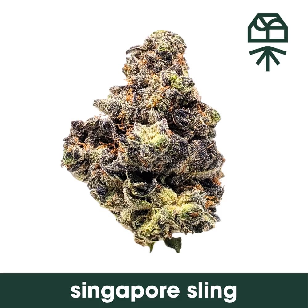 Grassroots Singapore Sling