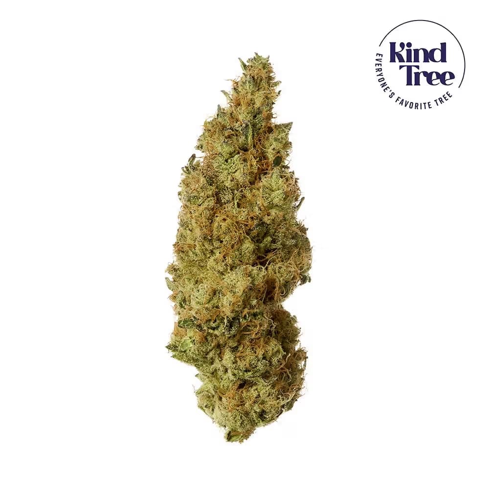 Kind Tree Filthy Animals