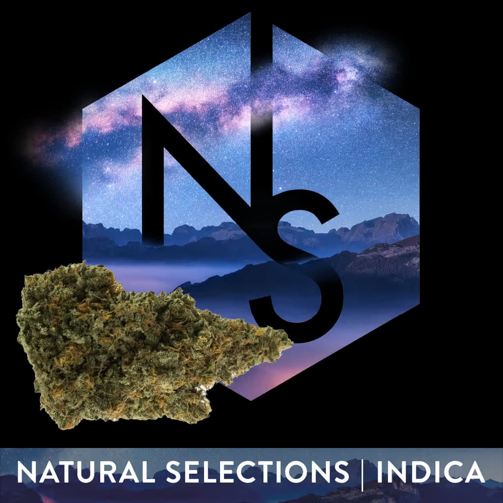 Natural Selections OGKB 2.1