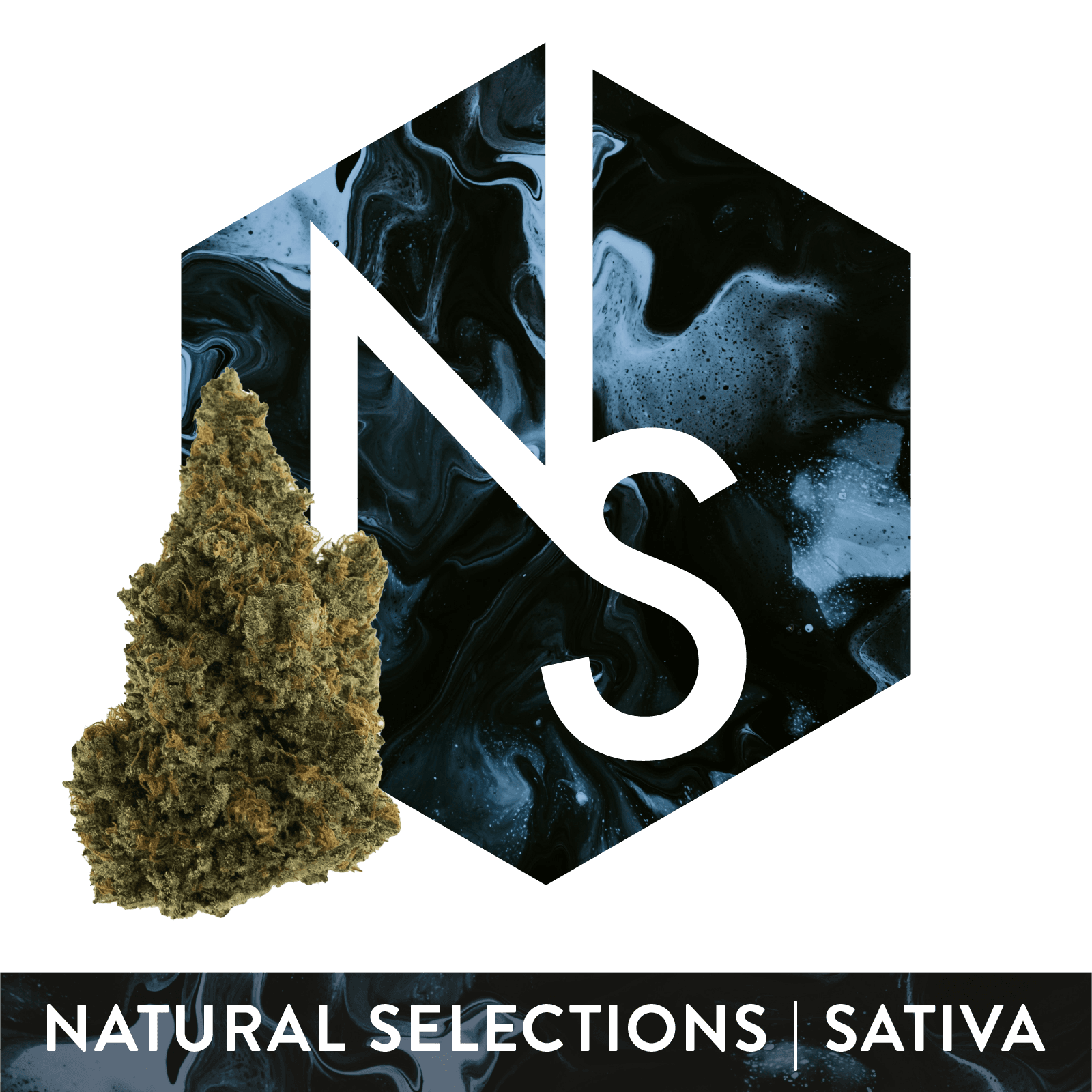 Natural Selections Wizard Spray #1