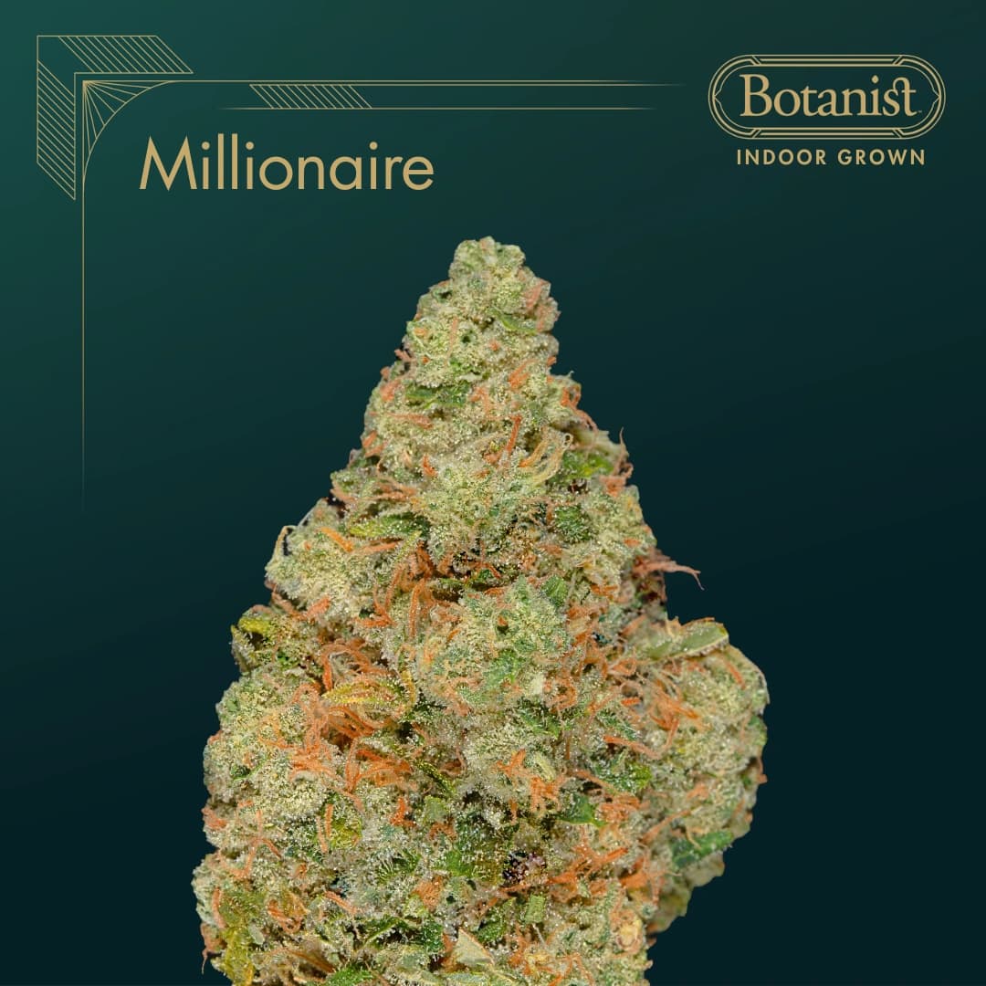 The Botanist Millionaire