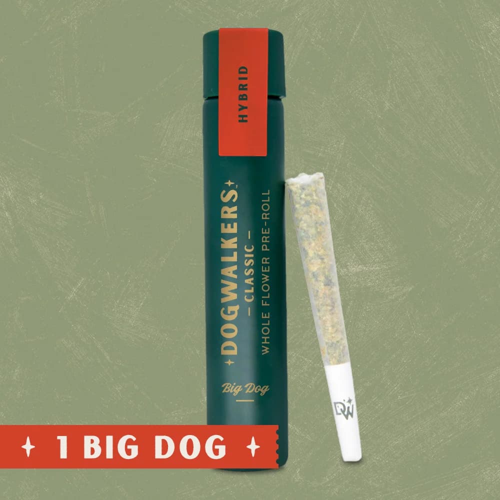 DOGWALKERS Afternoon Delight #4 Big Dog Pre-Roll | 0.75g