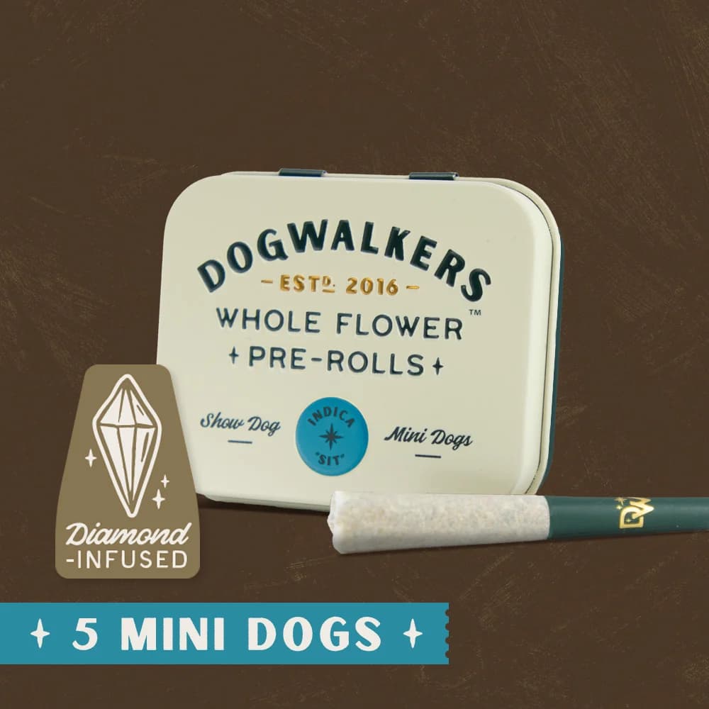 DOGWALKERS