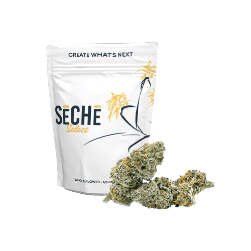 SeCHe Sage Wreck Flower