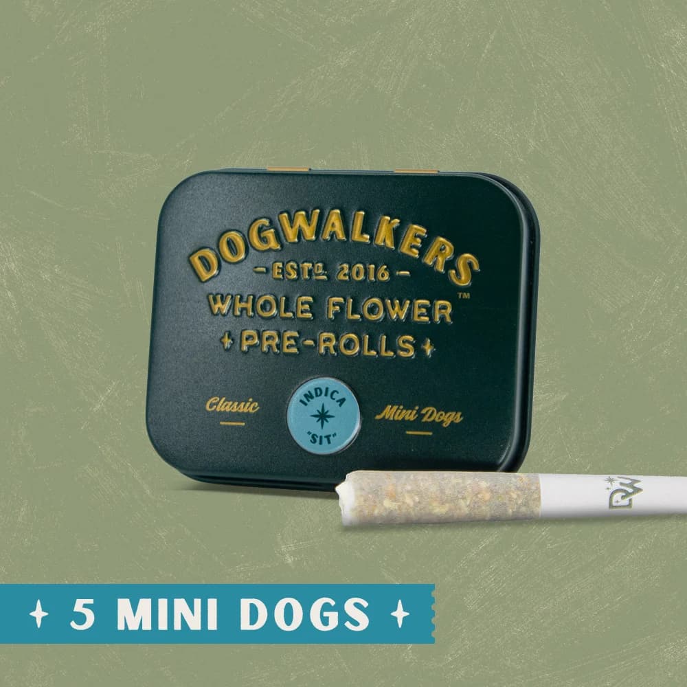 DOGWALKERS