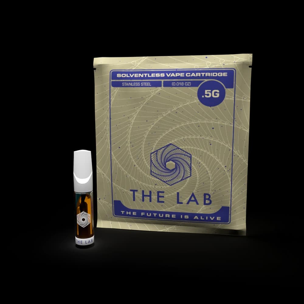 Lab Purple Starfruit