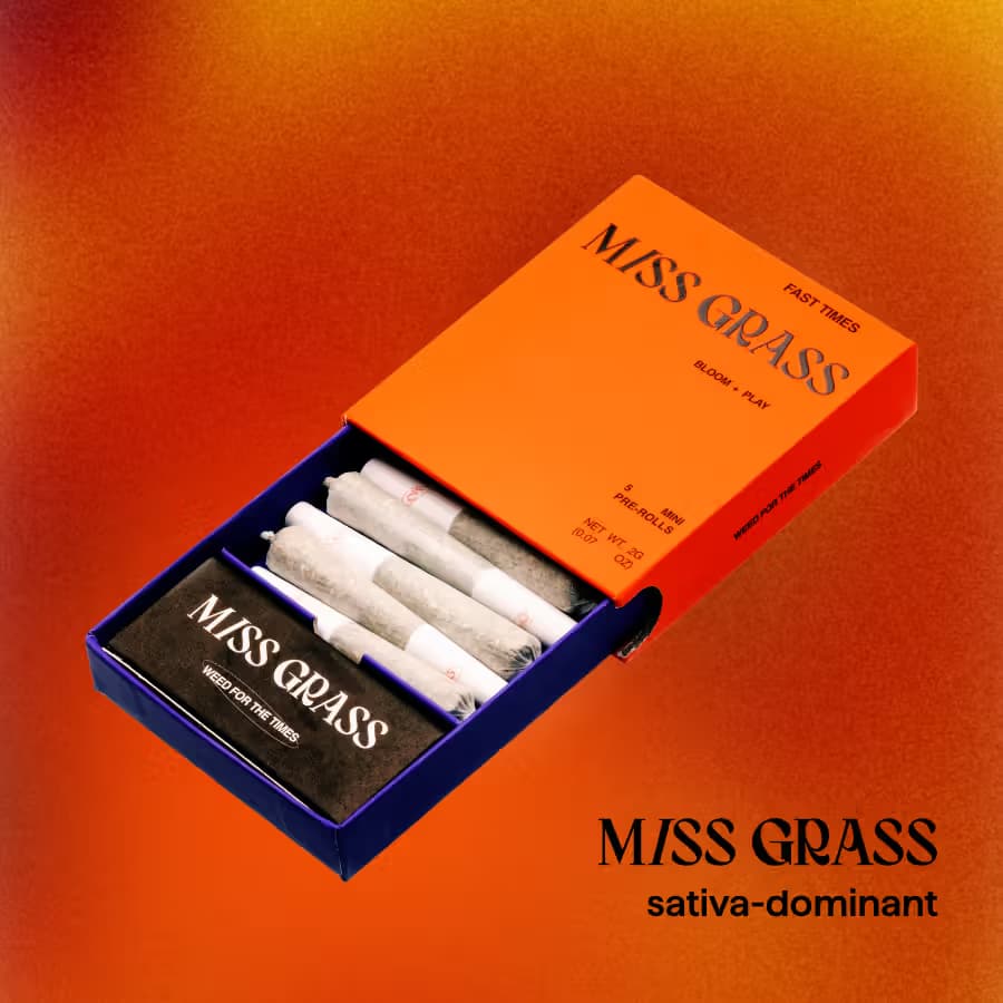 Miss Grass Novarine x Mid Day Marvel