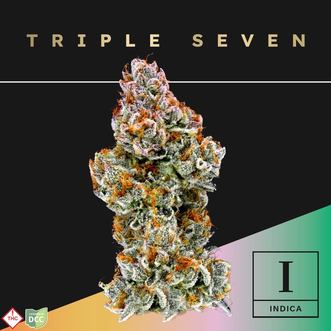 Triple Seven Biscotti Mintz [14.15g]