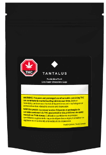 Tantalus Forbidden Fruit Live Rosin Chocolate Cups | 2-Pack