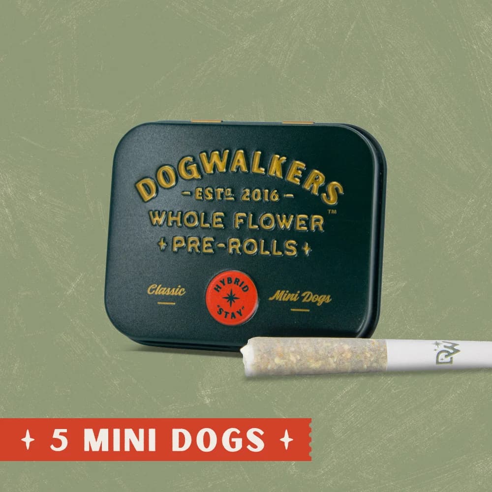 DOGWALKERS Afternoon Delight #4 | 5 Pack