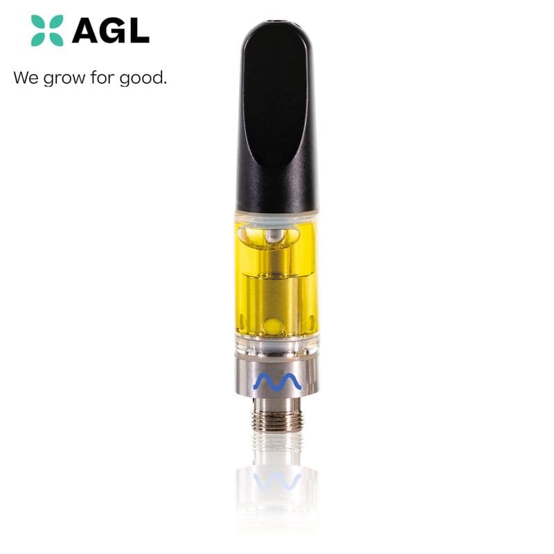 RYTHM Rythm 0.5g Vape Cheddar Cheeze (I) 01312