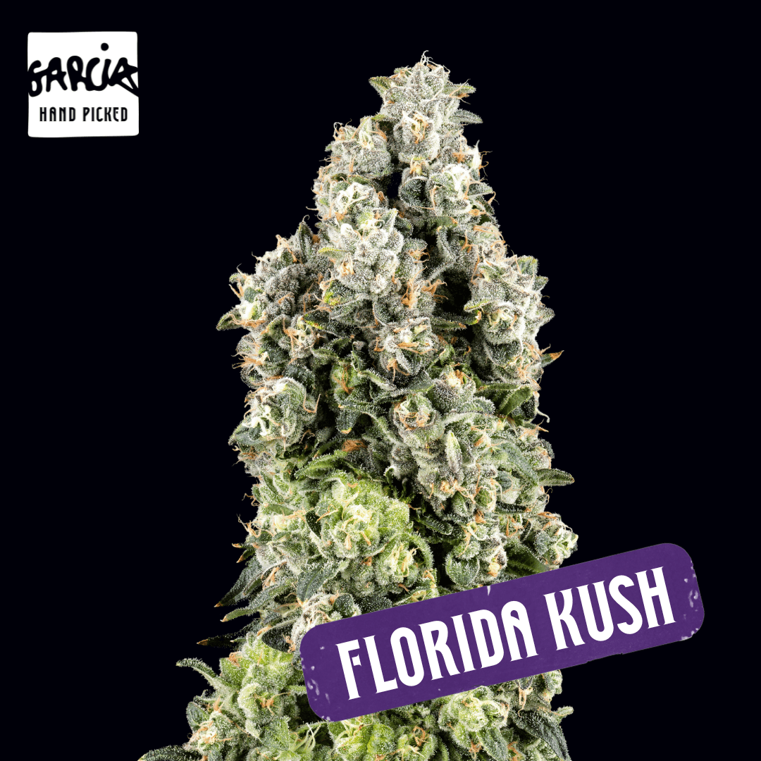 Garcia Hand Picked Florida Kush