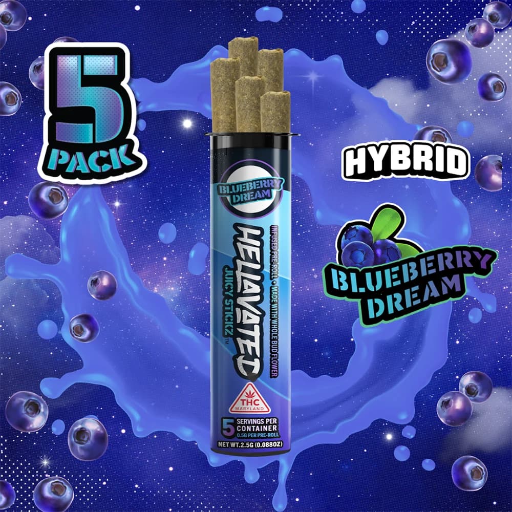 Hellavated Blueberry Dream [5pk]