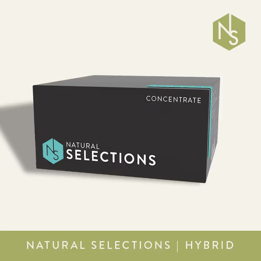 Natural Selections Crunch Berries