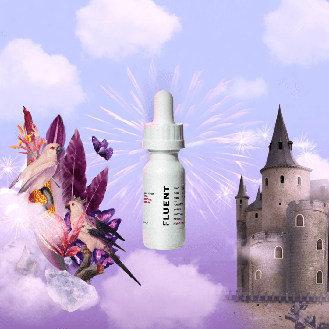 MOODS Kingdom Dreams - MOODS (11.25g)