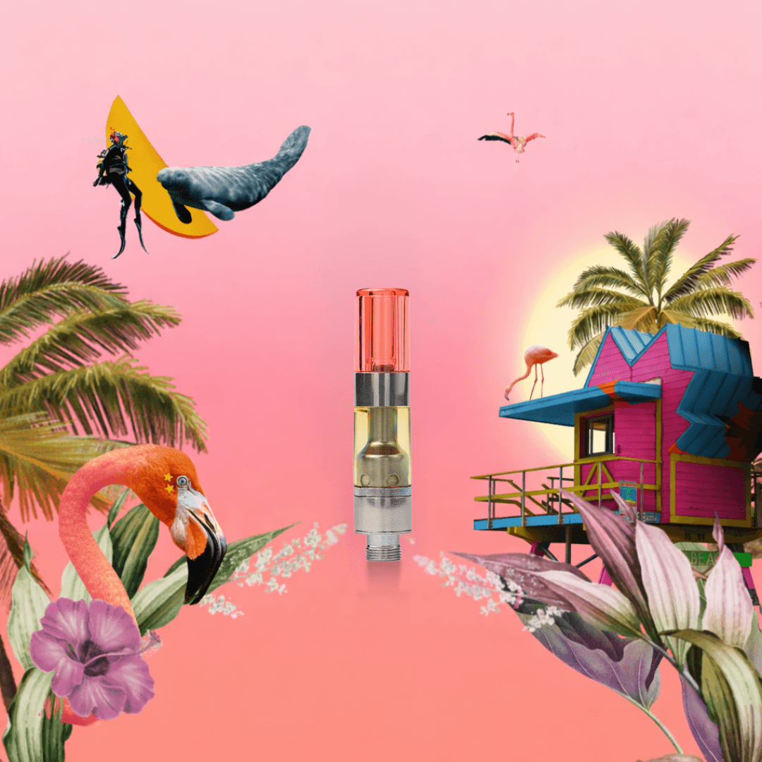 MOODS Miami Vibes [0.5g]