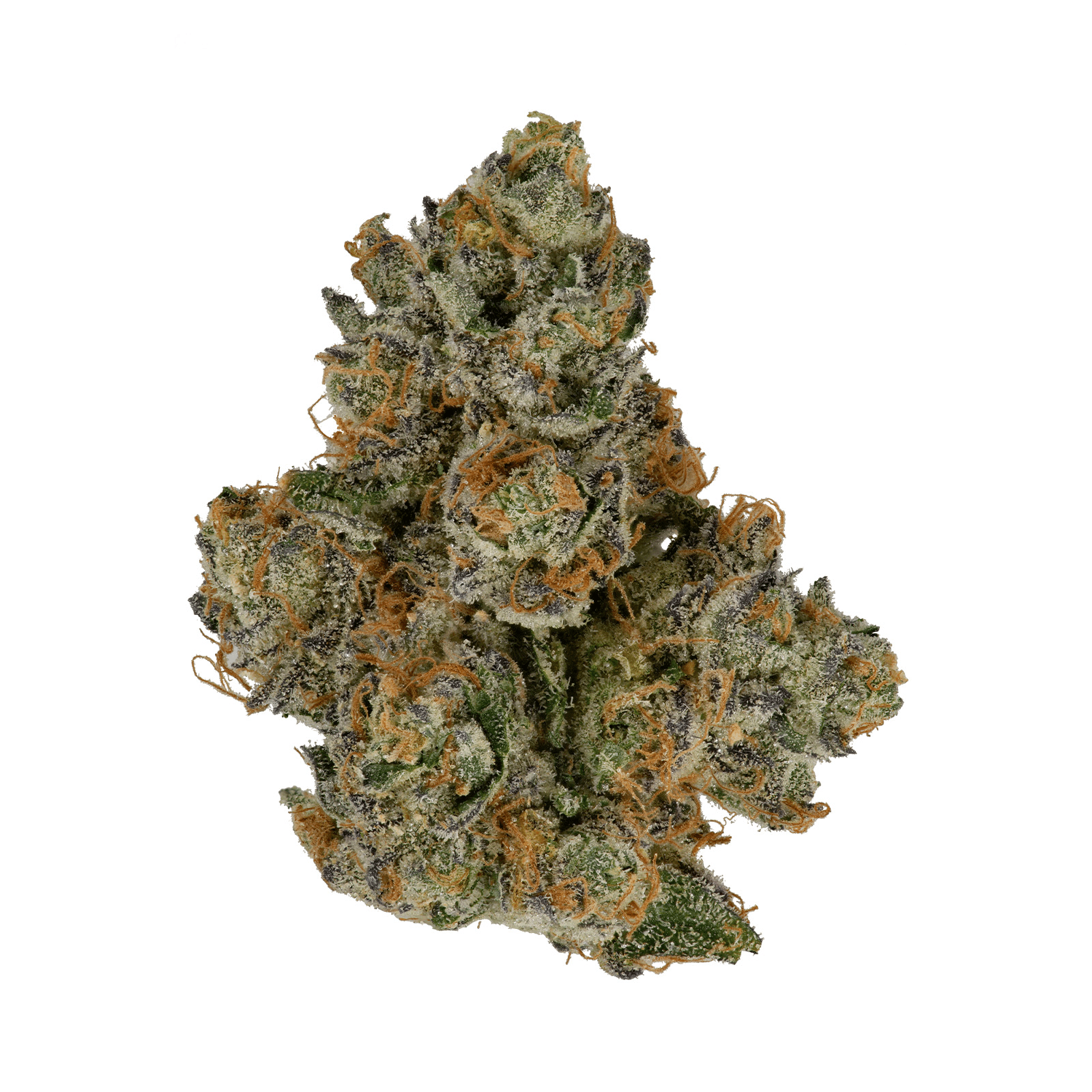 Knack 90's Kush