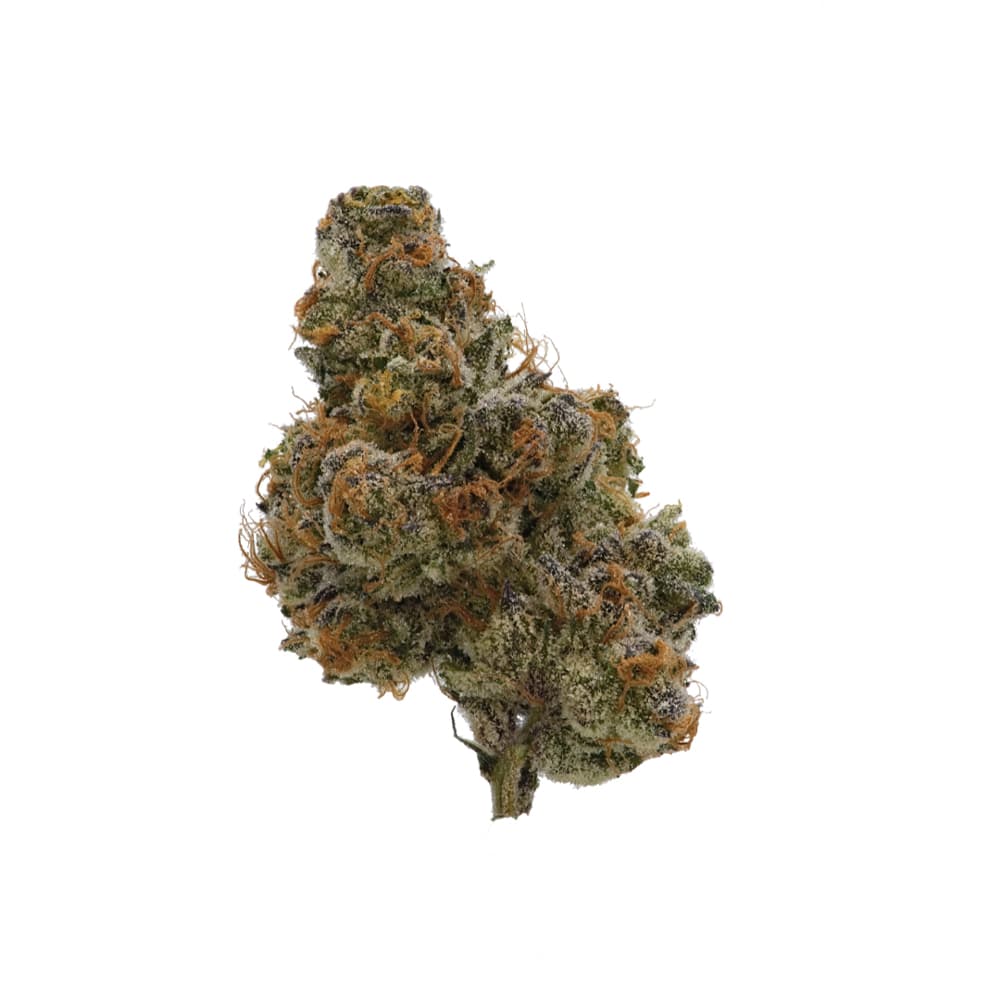 Knack Apple Fritter