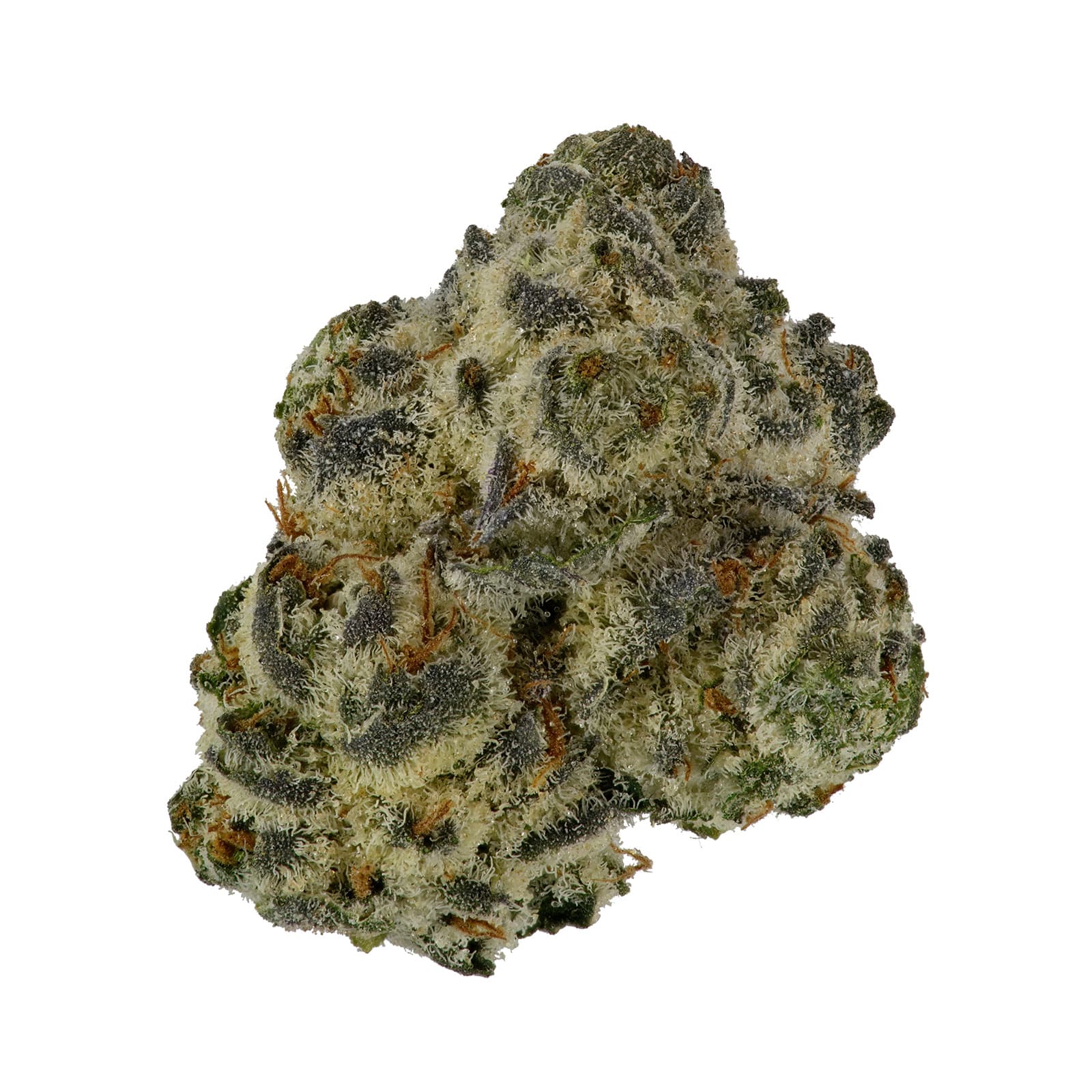 Knack Blueberry Cupcake