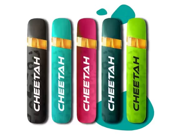 Cheetah Motorbreath
