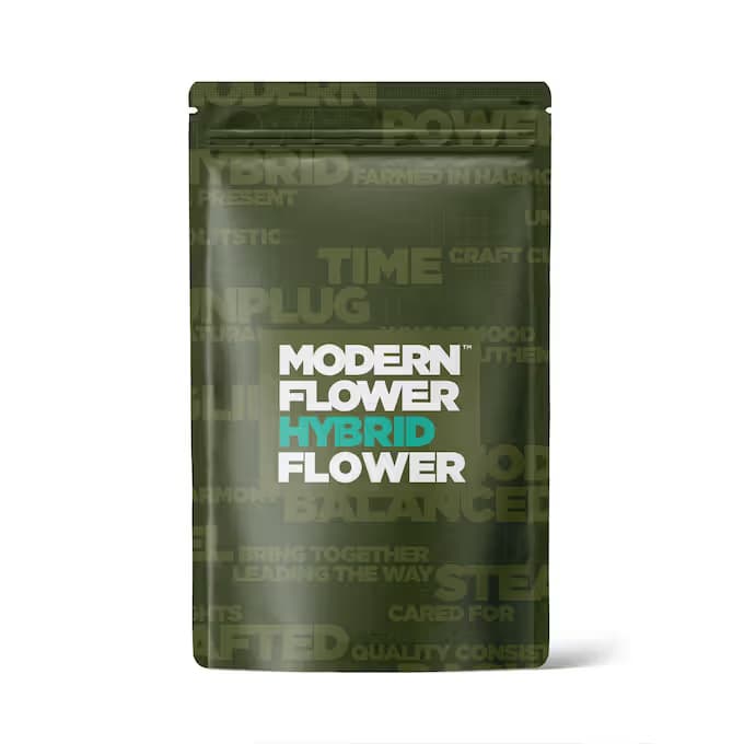Modern Flower Flower