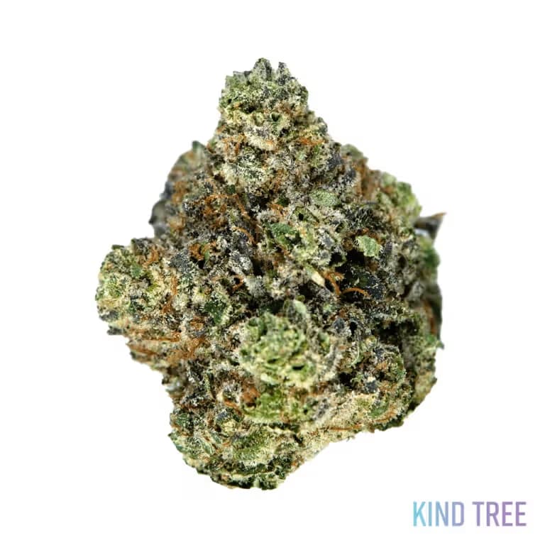 Kind Tree Flower