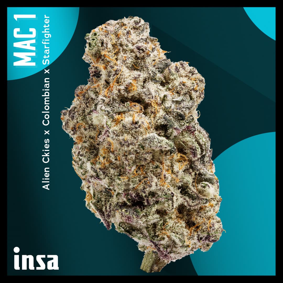 Insa Mac 1 | Live Sugar Vapes