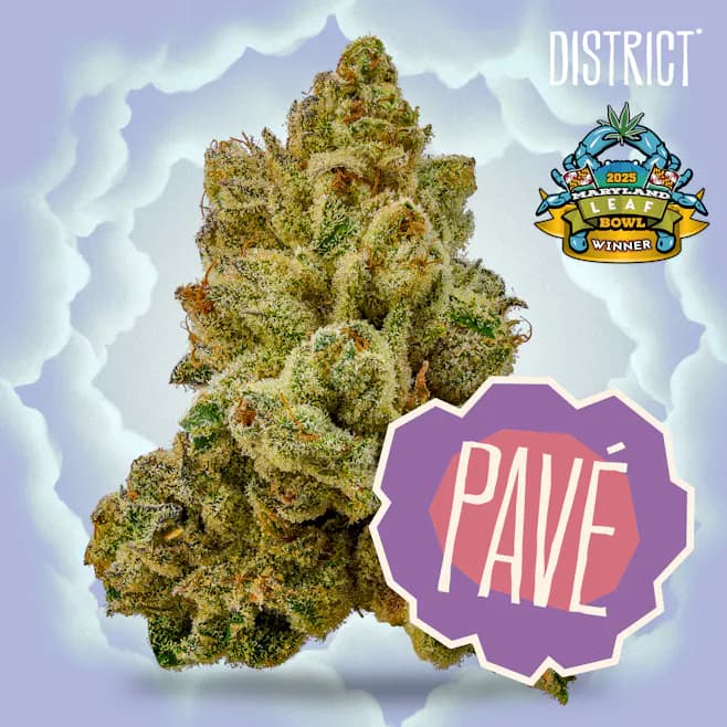 District Cannabis Flower: Pave