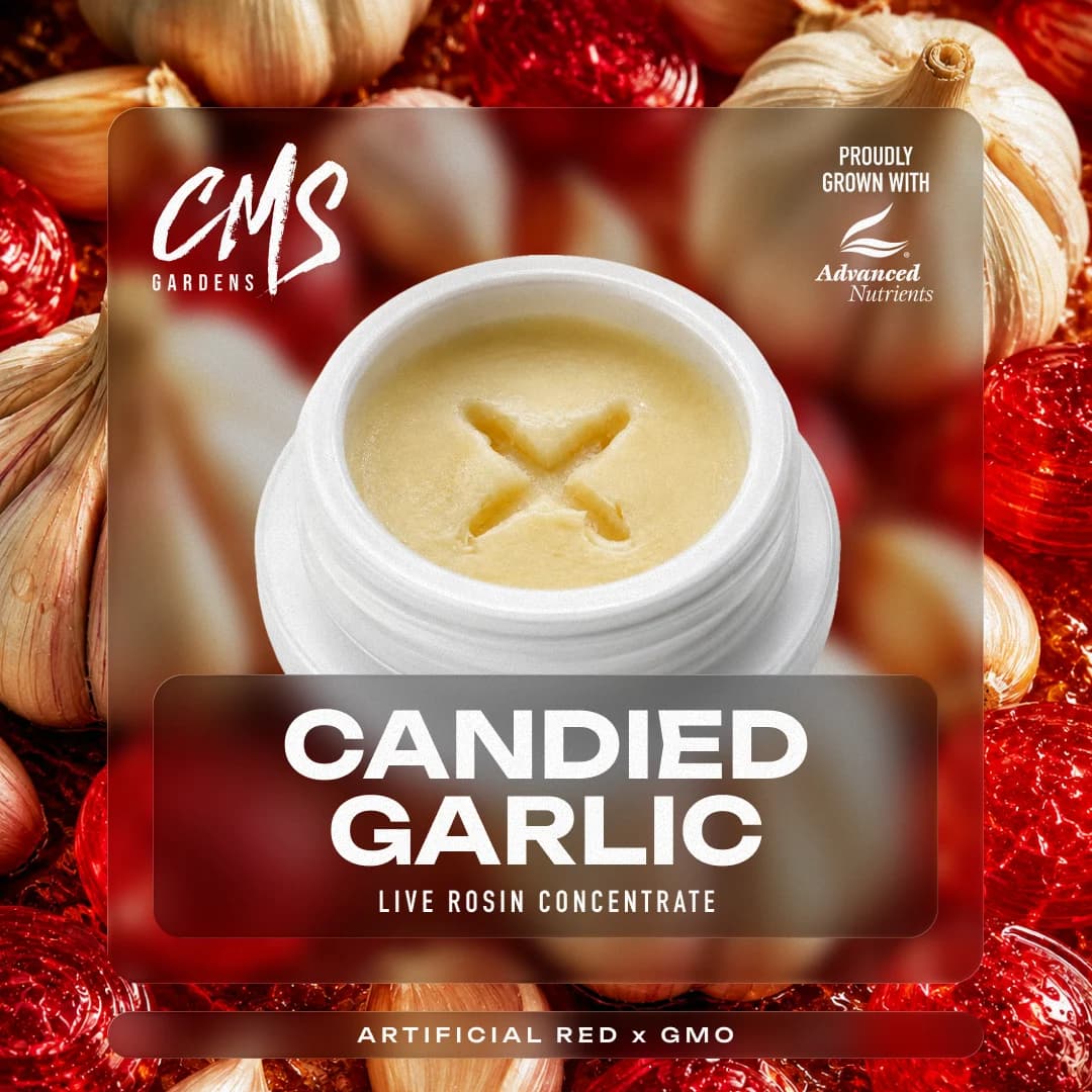 CMS Gardens Candied Garlic [2g]