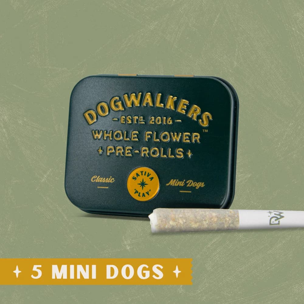 DOGWALKERS