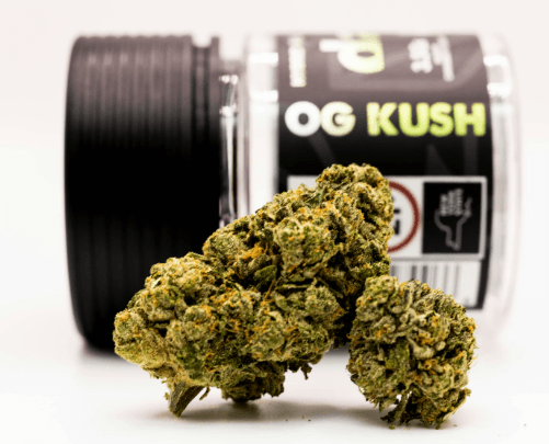 DANK OG Kush -Hybrid- 27.26% THC | 3.5g (Flower) DANK -AF8