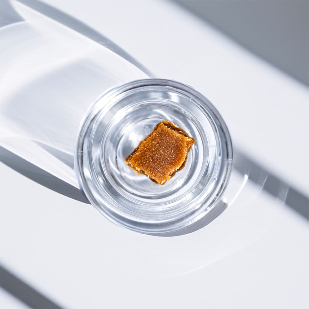 Eden Solventless Georgia Mintz