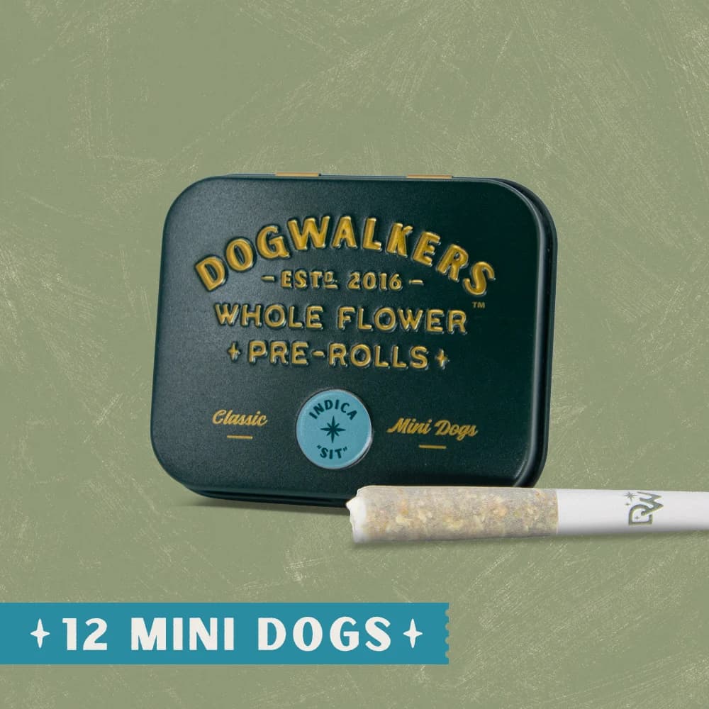 DOGWALKERS