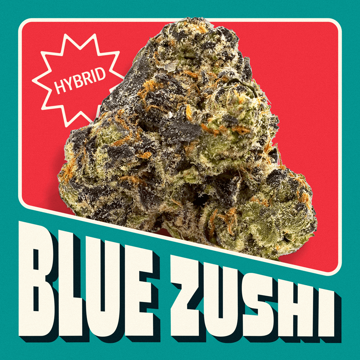 Neighborgoods Blue Zushi