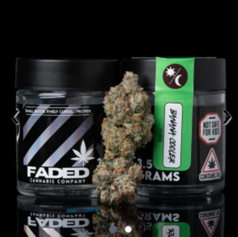 Faded Cannabis