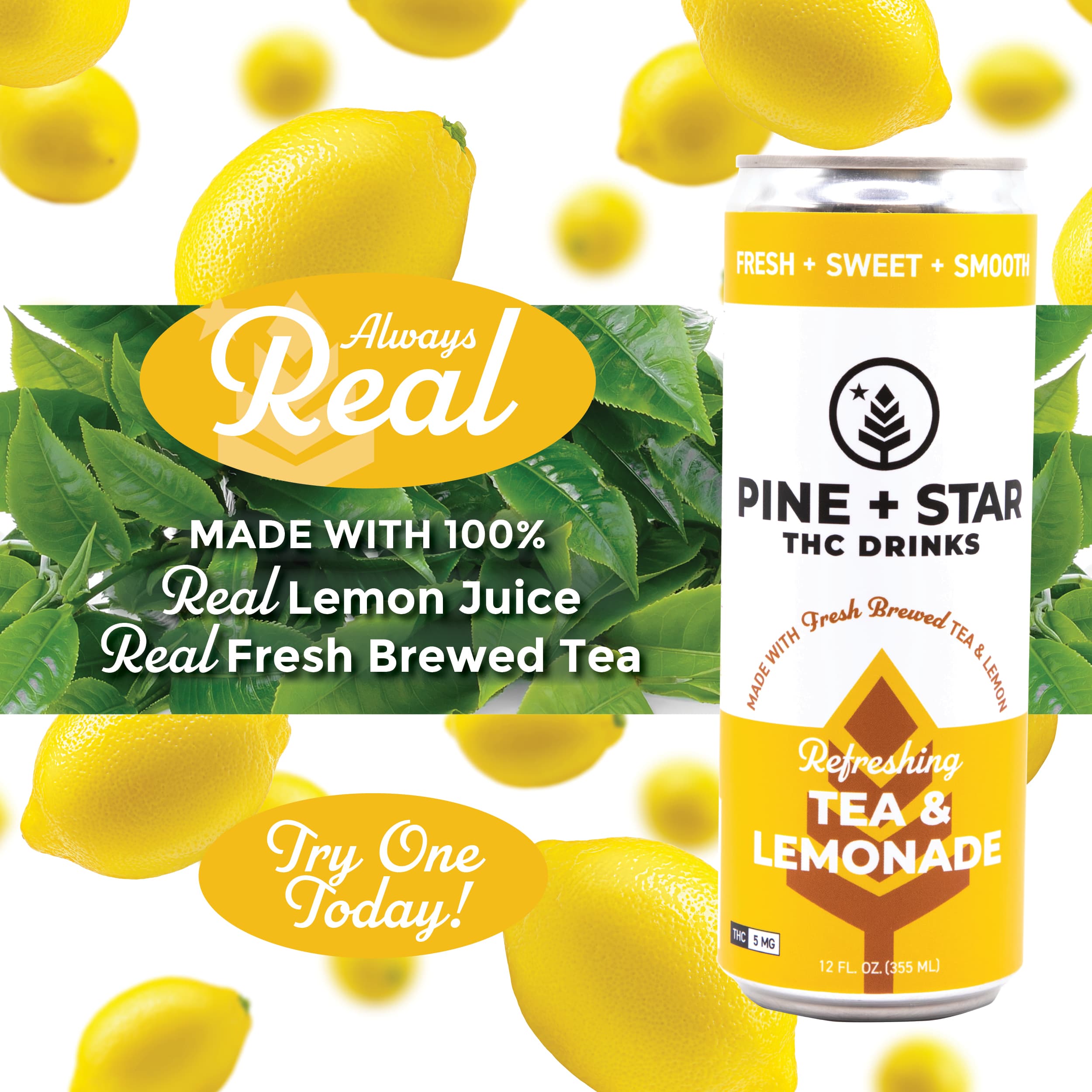 Pine + Star Tea & Lemonade