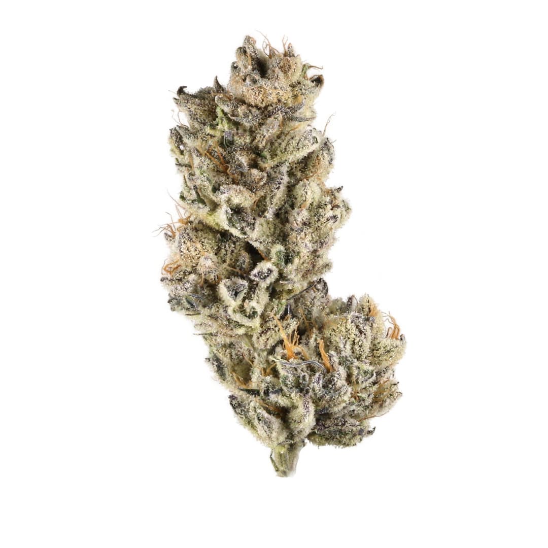 Frosteez Frosteez Purple Punch Snowballs (2G)