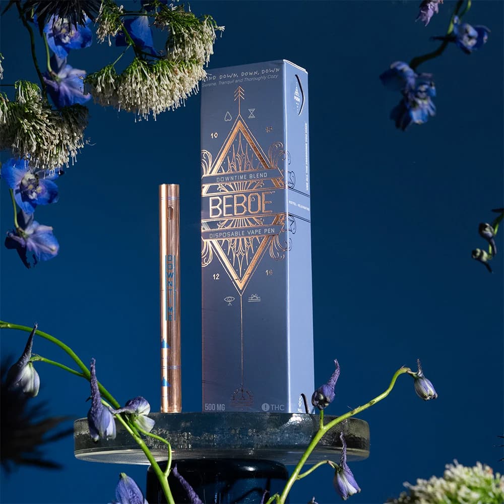 BEBOE Downtime Blueberry [500mg]
