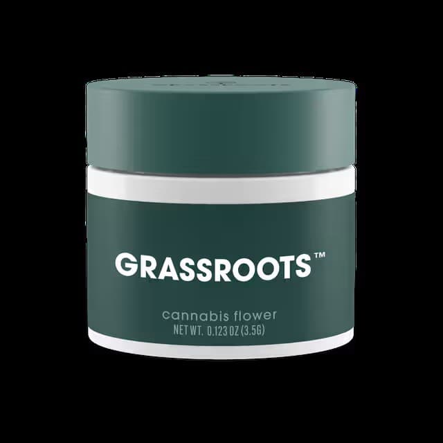 Grassroots Papaya Drip | Flower