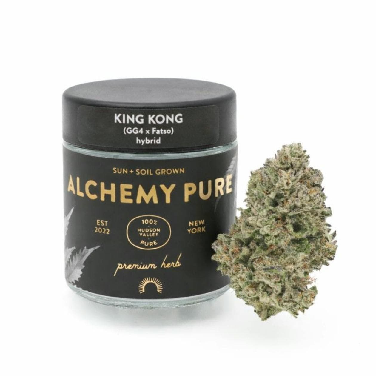 Alchemy Pure King Kong | Flower | 3.5g