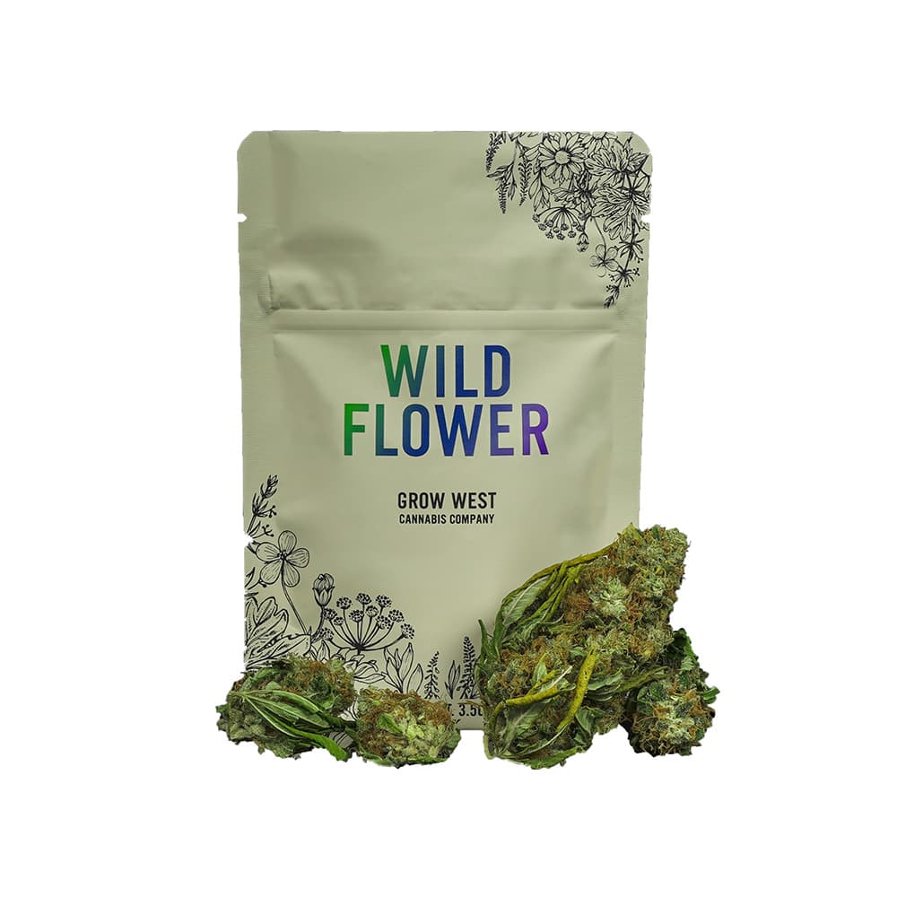 Grow West Dog Walker
