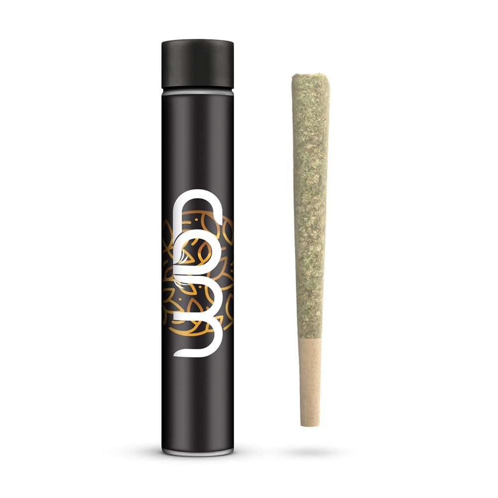 CAM Permanent Marker PR22 [1g]