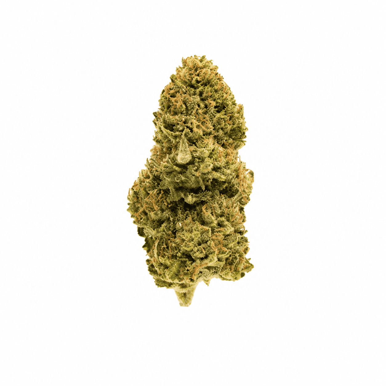 Fresh Cannabis Popcorn - Afterburner