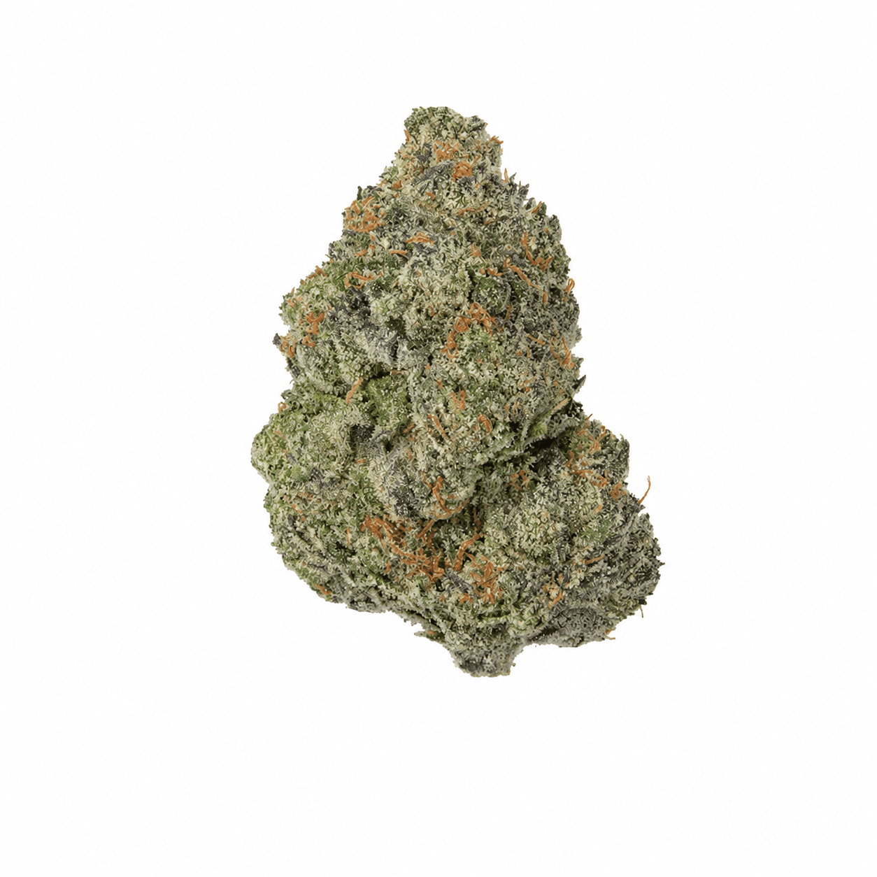 Fresh Cannabis Big Velvet