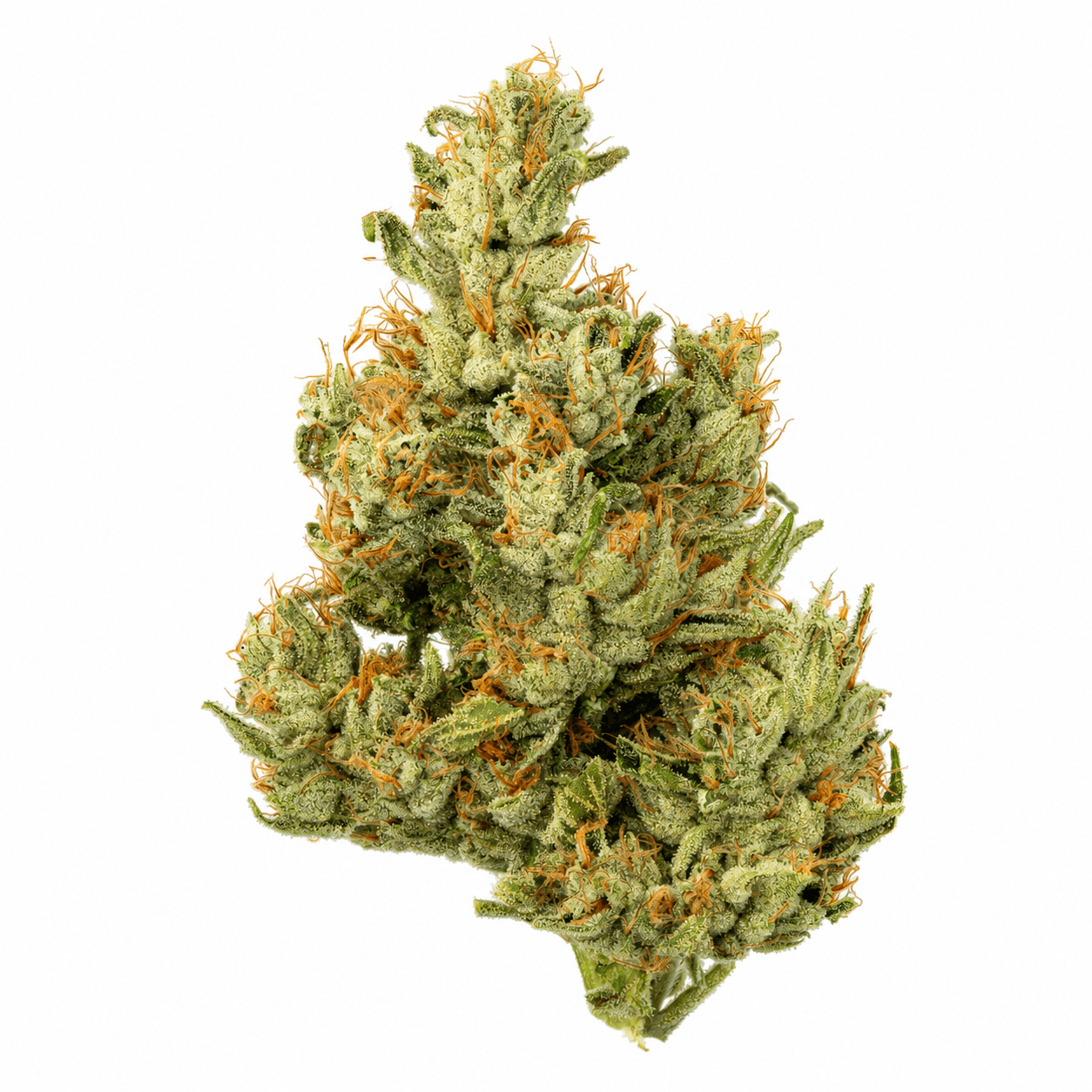 Fresh Cannabis Chem de la Chem